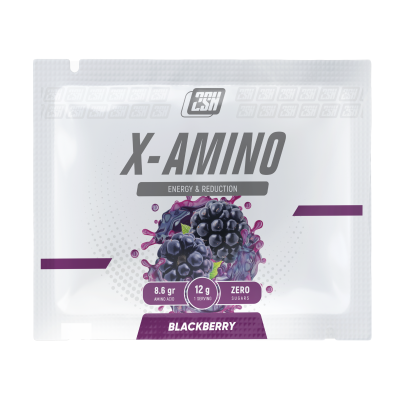 Аминокислотный комплекс 2SN X-Amino 12 г ежевика