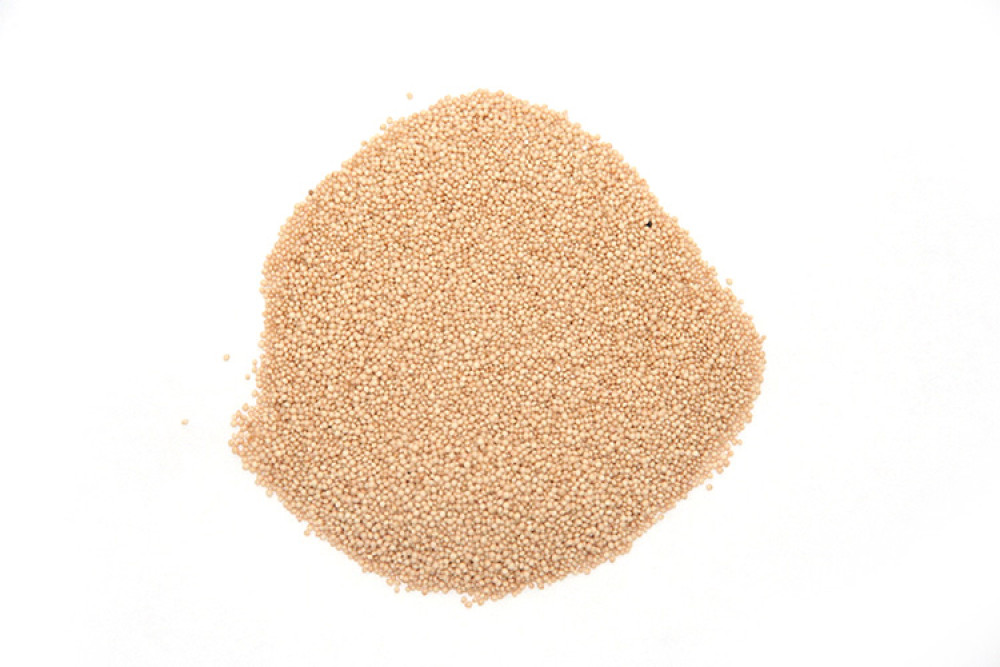 Суперфуд Продукты XXII века Amaranth зерно, 100 г купить суперфуд продукты xxii века amaranth зерно, 100 г