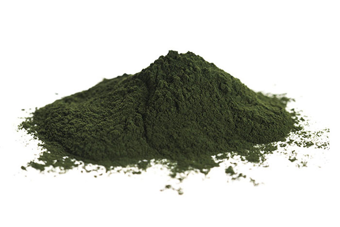 Хлорелла Продукты XXII века Chlorella Premium порошок,100 г купить хлорелла продукты xxii века chlorella premium порошок,100 г