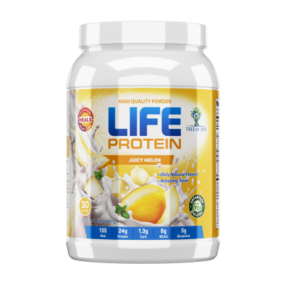 LIFE Protein 907 г - дыня (Juicy melon)