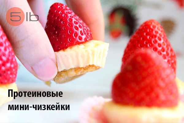 protein_mini_cheesecakes протеиновые мини чизкейки
