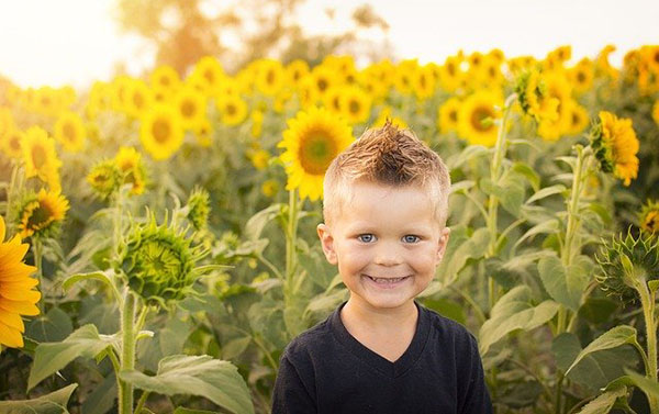 child-sunflowers Мальчик на поле подсолнухов