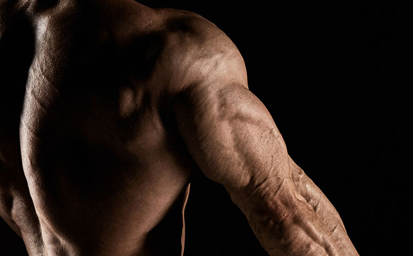 triceps2 Трицепс мужчина