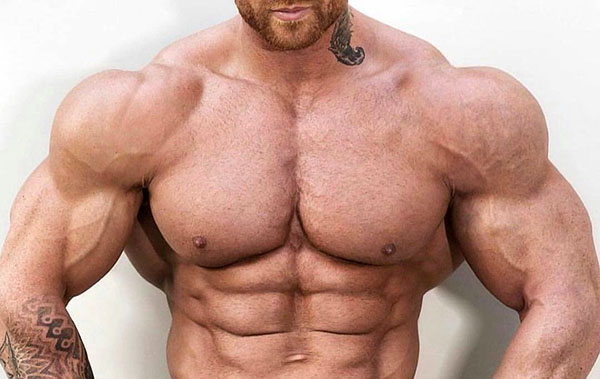 big-man-chest2 Мужчина с накачанными мышцами груди