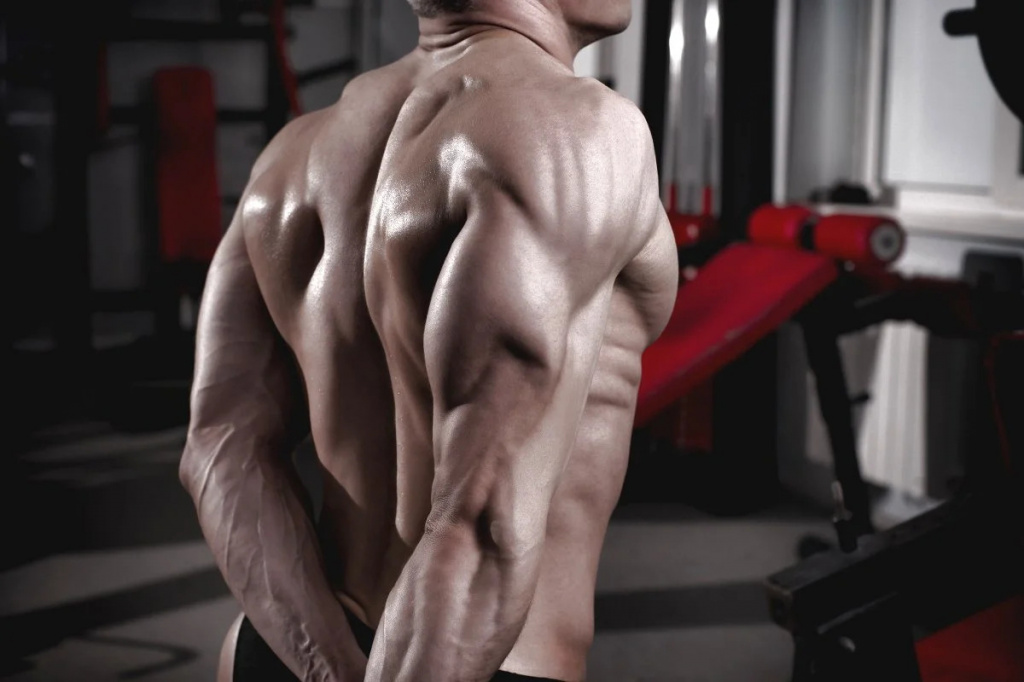 triceps Трицепс