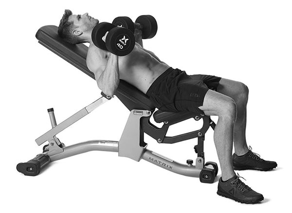 incline-5х5 Жим гантелей в наклоне