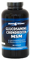 Glucosamine Chondroitin MSM Glucosamine Chondroitin MSM