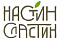 Настин Сластин