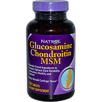 Glucosamine Chondroitin MSM Glucosamine Chondroitin MSM
