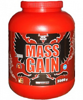 Mass Gain