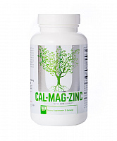 Calcium Zinc Magnesium Calcium Zinc Magnesium